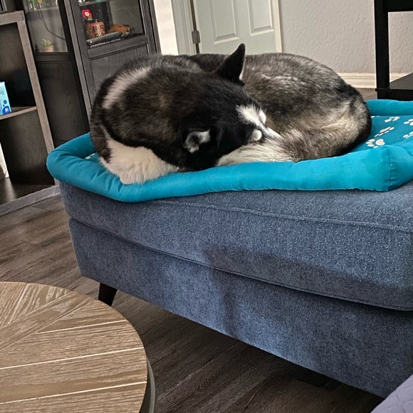 Meet your Posher, Clau - Picture 5 of 7